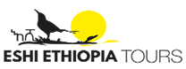 cropped-eshi_ethiopia_logo.png